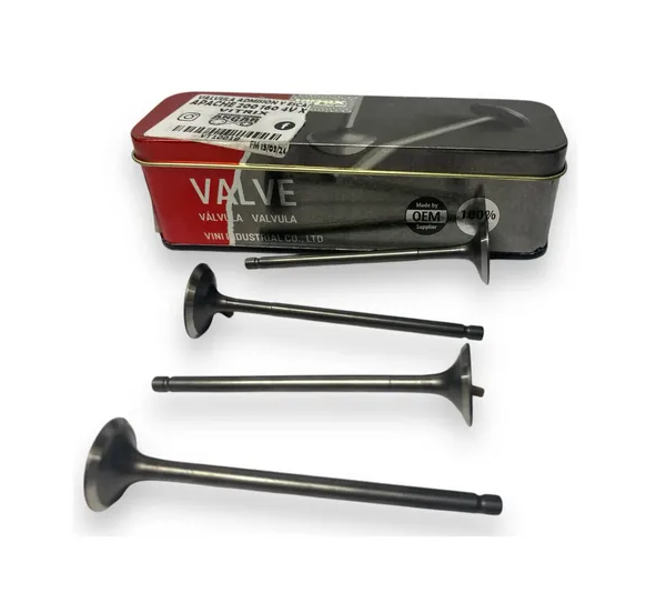 VALVULA ADM/ESC TVS APACHE RTR160/180 (VITRIX) JGOX2
