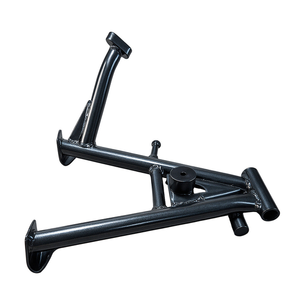 GATO CENTRAL BOXER CT / PLATINO 100