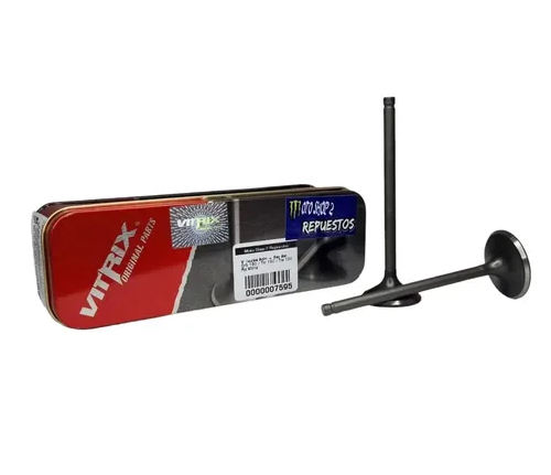 VALVULA ADM/ESC CR5/TTR180/TTX180 (VITRIX) JUEGO X 2